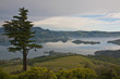 Blick vom Hügel bei Larnach Castle Neuseeland Südinsel