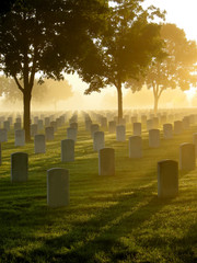 cemetery in the fog