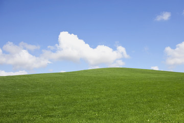 grassy hillside and sky