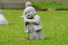 Young Buddha Statue In A Field