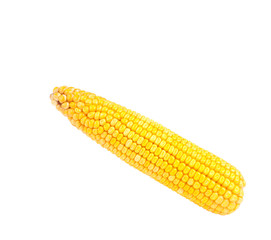 Sticker - Yellow corn