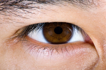 Close up of brown male eye