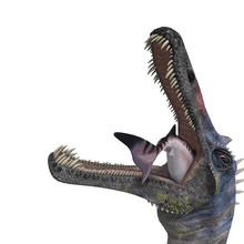 Dinosaur Suchominus. 3D Rendering With Clipping Path And Shadow
