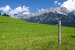 Alpen-Panorama - Wiesen-Berge-Blauer Himmel