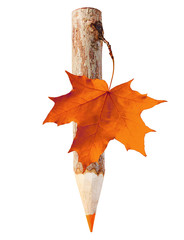 Wall Mural - Wooden pencil with maple leaf.