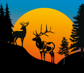 Wall Mural - two deers in forest at sunset