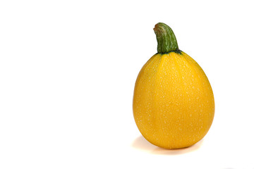 Sticker - Yellow Ball Courgette