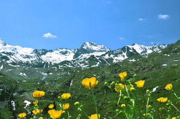 Canvas Print - Kaunertal - Österreich