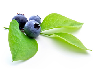 Wall Mural - blueberry