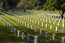 Headstones At The Arlington National Cemetery