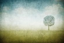 Grunge Image Of A Tree On A Vintage Paper