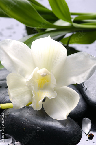 spa-kamienie-do-masazu-i-orchidea