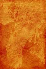 Wall Mural - grunge orange texture for you project