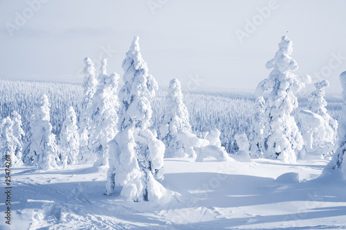 zimowy-krajobraz