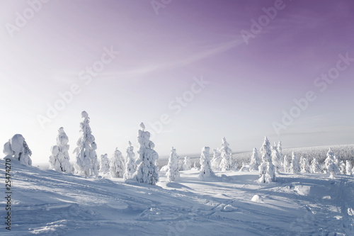 Naklejka na szybę Winter