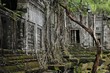 the secret jungle temple beng melea in cambodia
