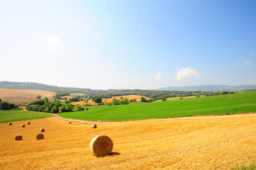 Canvas Print - Tuscany Landscape