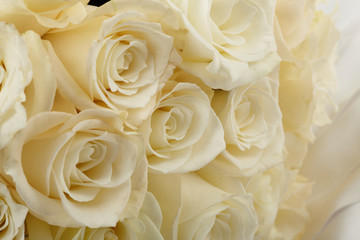  White roses