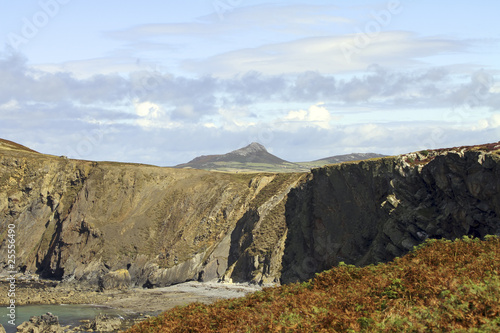 Fotomural Ramsey Island Pembrokeshire Wales UK