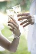 © wtamas - Wedding Champagne Toast