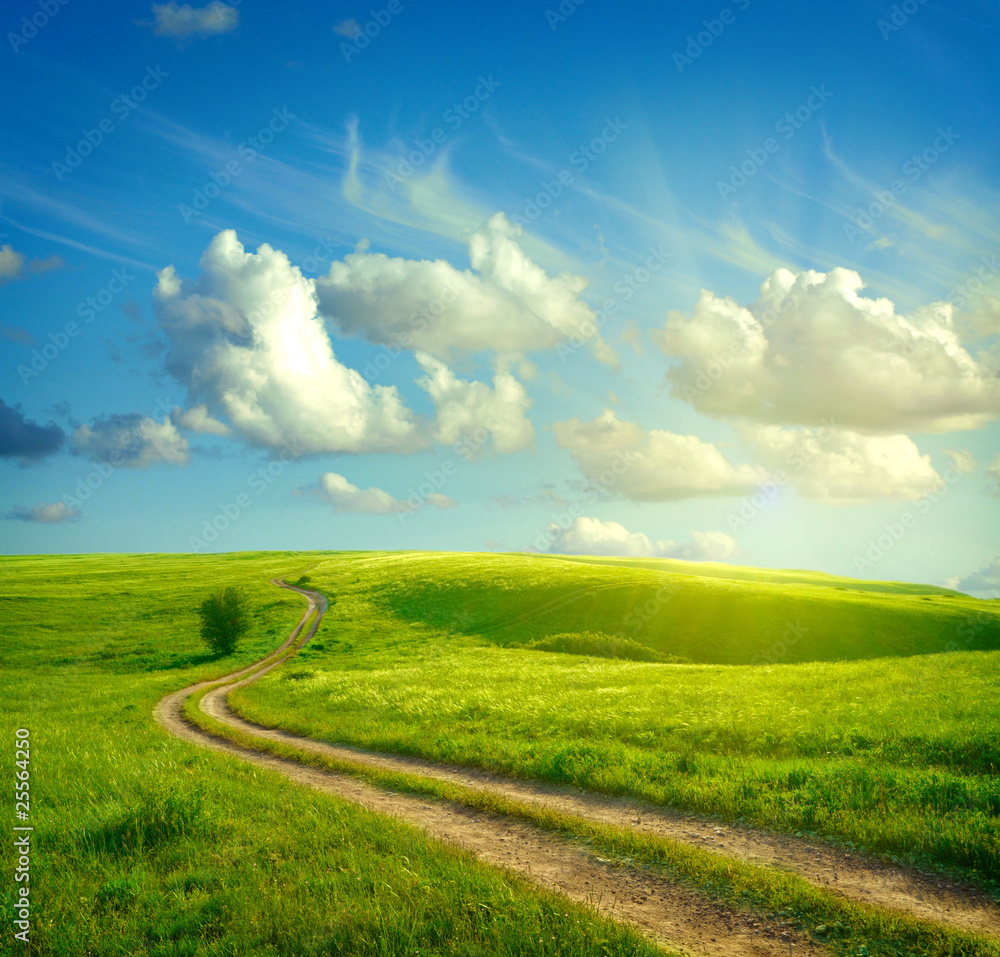 Summer landscape with green grass, road and clouds - obrazy, fototapety, plakaty 