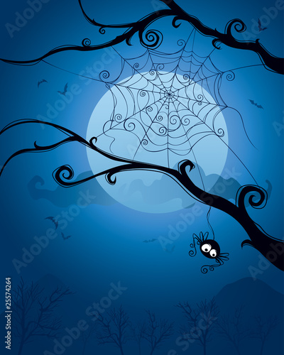 Foto-Duschvorhang nach Maß - Spider hanging on tree in the night. (von ori-artiste)