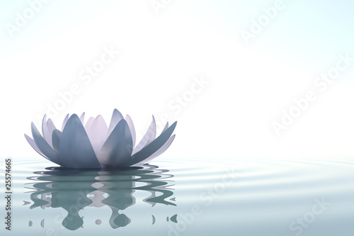 einzelne bedruckte Lamellen - Zen flower loto in water (von dampoint)