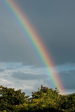 Fototapeta Tęcza - Rainbow