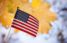 American Toy Flag Over Autumn Leafs.