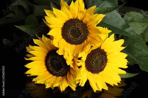 Naklejka - mata magnetyczna na lodówkę Sunflowers