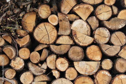Télécharger gratuitement Images Papier Peint Rondins Et Brindilles De Bois Shaft Papiers Peints actualisé salutations