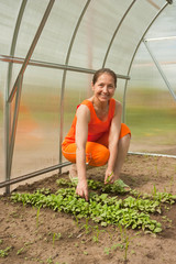 Wall Mural - senior  woman gardener