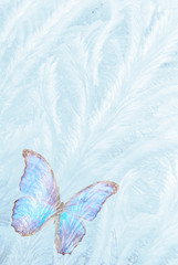 Wall Mural - butterfly for freezing glass
