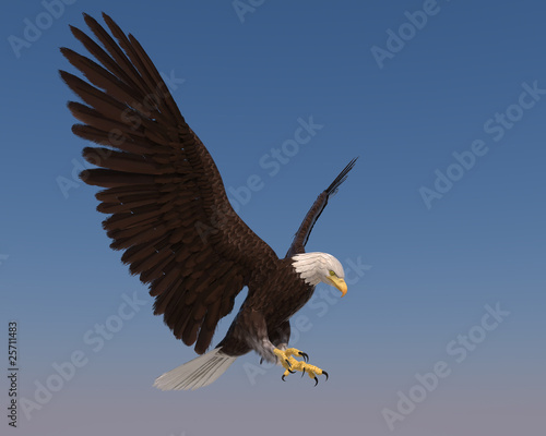 Obraz na płótnie canvas trzyczęściowy "tryptyk" American bald eagle blue sky goes down