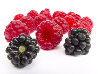 Wall Mural - raspberries and blackberries