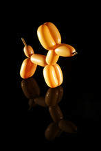 Balloon Dog Isolated On Black With Reflection