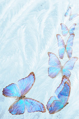 Wall Mural - butterfly for freezing glass