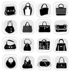 fashion bag set