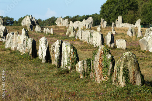 Plakat na papierze fotorealistycznym Megality Carnac