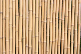 Fototapeta Bambus - bamboo