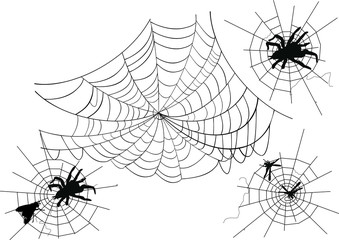 Wall Mural - four spider webs