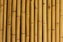 Bamboo Wall/background