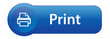 PRINT Web Button (printer printout now documents layout laser