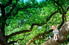 Happy Cute Girl Sitting On Branch Huge Tree