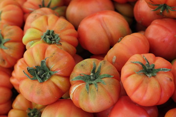 Wall Mural - Heirloom tomatoes sale