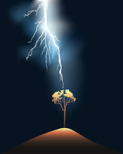 Lightning Stroke In A Lonely Tree