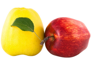 yellow and red apple with green leaf