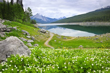 Mountain Lake In Jasper National Park, Canada