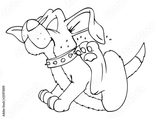 Hund, Dackel, kratzen, Haustier, Flöhe, Läuse, Floh, Laus Stock