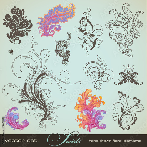 Tapeta ścienna Vector set: swirls - handdrawn kwiatowy wzór elementów